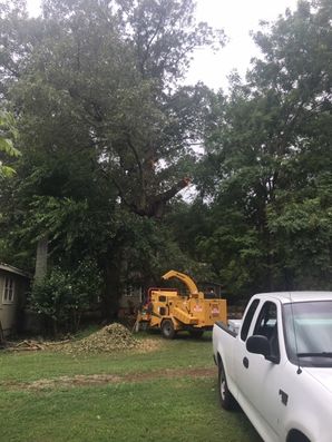 Wood chipper services in Cluster Springs, Virginia by Carolina Tree Service