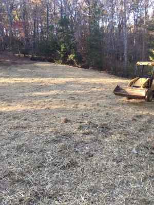 Land Clearing in Milton, North Carolina by Carolina Tree Service