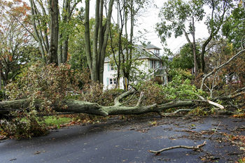 Storm damage cleanup in Keeling, Virginia by Carolina Tree Service