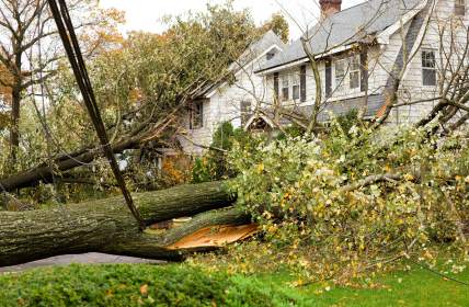 Emergency tree removal by Carolina Tree Service