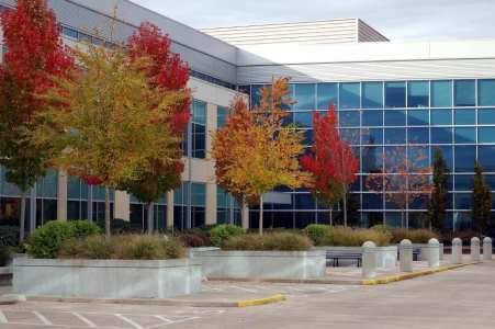Office building with trees in fall