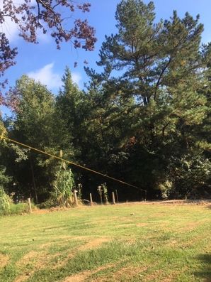 Tree Removal in Durham, NC (3)