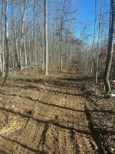 Land Clearing in Durham, NC (1)