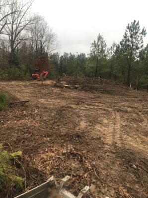 Land Clearing in Chapell Hill, NC (2)