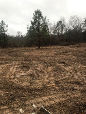Land Clearing in Chapell Hill, NC (3)