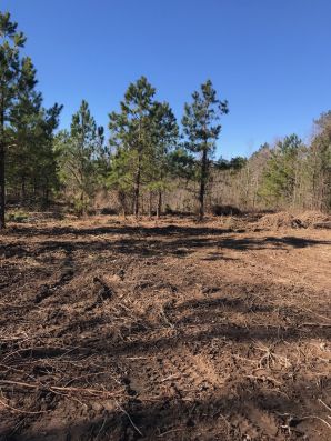 Land Clearing in Mebane, NC (4)
