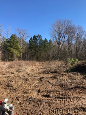 Land Clearing in Mebane, NC (3)