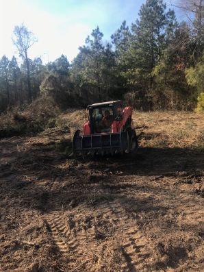 Land Cleaning in Burlington, NC (2)